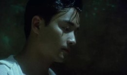 阿飞正传 在线观看,穿梭时空的传奇人生